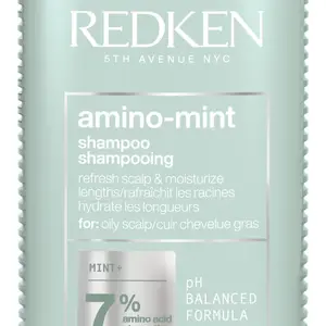 Redken Čistiaci šampón pre citlivú pokožku a mastné vlasy Amino Mint (Shampoo) 300 ml