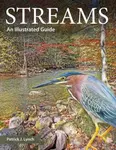 Streams - Patrick J. Lynch