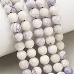 Dyed Natural Howlite Beads Strands