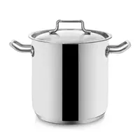 Hrnec s poklicí ORION Stock 11l
