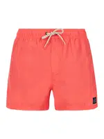 Men's beach shorts Protest PRTSTILO