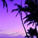 trvble – Moonlight (Slowed & Reverb)