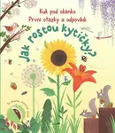 Jak rostou kytičky? - Katie Daynes