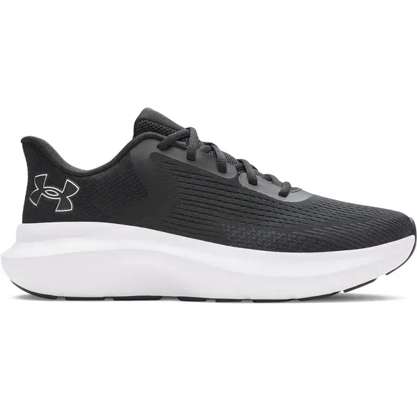 Pánská obuv Under Armour Charged Rogue 5
