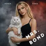 Honza Šimek – Mrs. Bond