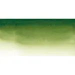 Akvarelová barva Sennelier 1/2 – 819 Sap Green