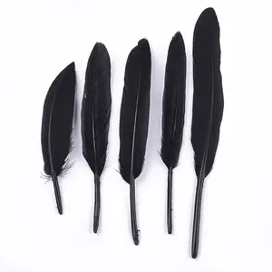 Goose Feather Costume Accessories