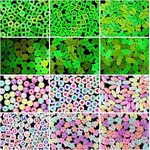 Luminous Acrylic Beads
