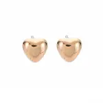 Heart Stud Earrings for Women