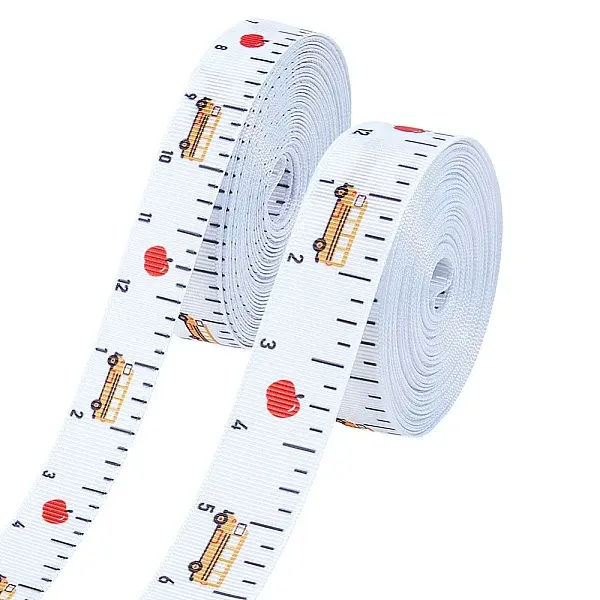 2 Rolls 2 Styles Back to School Season Polyester Ribbons