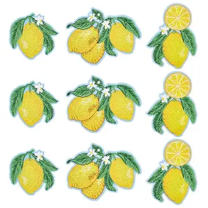 9Pcs 3 Styles Lemon Embroidery Sew on Cloth Patches