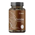 MOVIT Chaga 50 % polysacharidů 500 mg 90 kapslí