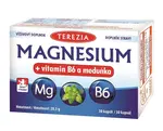 Terezia Company Magnesium + vitamin B6 a meduňka 30 kapslí