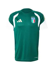 ADIDAS PERFORMANCE Dres 'FIGC TR JSY'  zelená