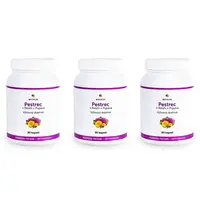 MatchaDay - Pestrec + Reishi + Púpava 3x 90 kapsúl