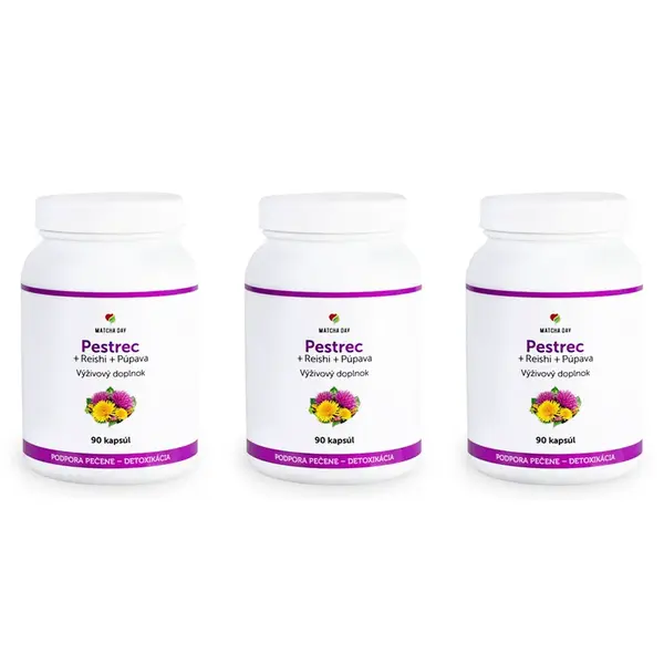 MatchaDay - Pestrec + Reishi + Púpava 3x 90 kapsúl