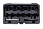 Hlavice 1/2” a 3/8” na poškozené šrouby, velikosti 8-21 mm, sada 13 ks - ASTA