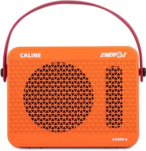 Caline CA-300G