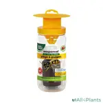 BSI Pasca na osy s návnadou