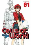 Cells At Work! 1 - Akane Shimizu