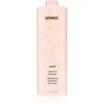amika Vault šampon pro ochranu barvených vlasů 1000 ml