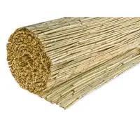 CLONA NA PLOT 140/600 cm