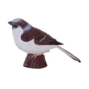 Můj Vrabec domácí