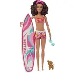Mattel Barbie Surfistka s doplňky