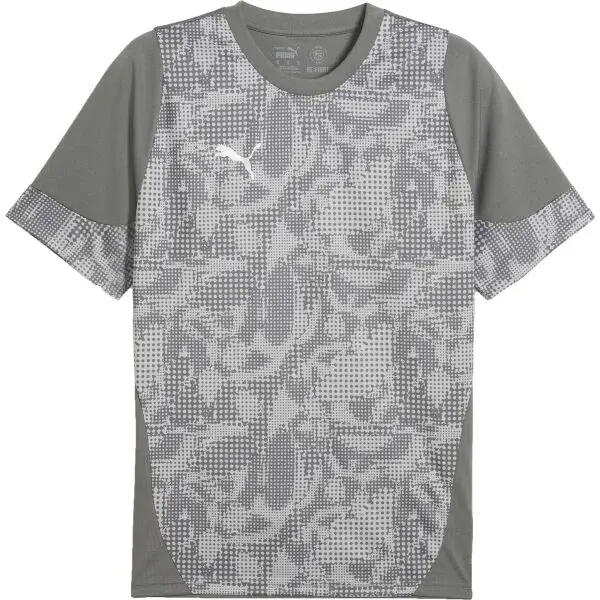 Puma TEAMCUP TRAINING JERSEY TEE Pánský dres, šedá, velikost