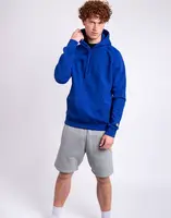 Carhartt WIP Hooded Chase Sweat Wolfsbane/Gold XL