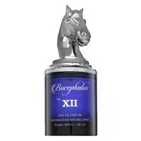 Armaf Bucephalus No. XII parfémovaná voda pre mužov 100 ml