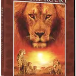 Africké kočky: Království odvahy (DVD)