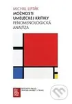 Možnosti umeleckej kritiky (Fenomenologická analýza)