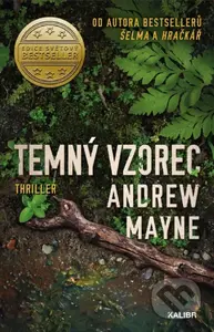 Temný vzorec - Andrew Mayne - kniha z kategorie Detektivky, thrillery a horory