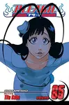 Bleach 65 - Tite Kubo - kniha z kategorie Komiksy