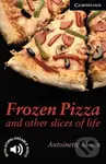 Frozen Pizza and Other Slices of Life - Antoinette Moses - kniha z kategorie Beletrie