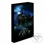 Harry Potter obraz LED svietiaci 30x40 cm - Bradavice