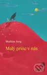 Malý princ v nás - Mathias Jung