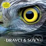 Dravci a sovy (150 unikátních fotografií) - kniha z kategorie Biologie