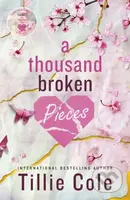 A Thousand Broken Pieces - Tillie Cole - kniha z kategorie Beletrie pro děti