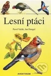 Lesní ptáci - Rudolf Hrabák - kniha z kategorie Biologie