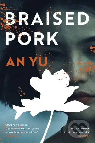 Braised Pork - An Yu