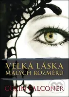 Velká láska malých rozměrů - Colin Falconer - kniha z kategorie Romantická