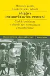 Příběhy (ne)obyčejných profesí (Česká společnost v období tzv. normalizace a transformace) - kniha z kategorie Historie