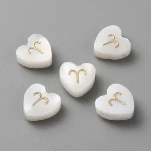 5Pcs Natural White Shell Beads