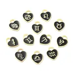Alloy Enamel Charms