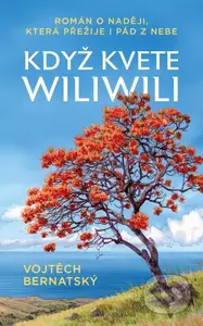 Když kvete wiliwili (Román o naději, která přežije i pád z nebe) - kniha z kategorie Společenská beletrie