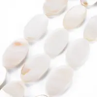 Natural Freshwater Shell Beads Strands
