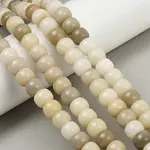 Natural Bodhi Root Beads Strand