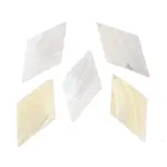 Natural Shell Big Pendants